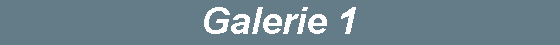 Galerie 1